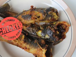 Benarkah Lele Ikan yang Jorok? Pakar IPB Ungkap Faktanya