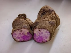 Ini Ube, Kuliner yang Bakal Geser Popularitas Matcha