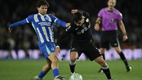 Brighton 'Rekrut' Petarung MMA, Inovasi Taktik Bertahan