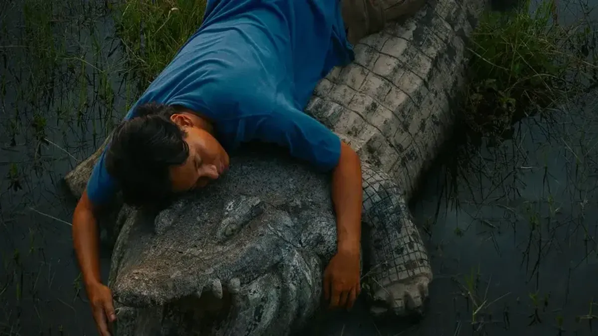 Perjalanan Crocodile Tears dari Toronto hingga Tayang di Indonesia