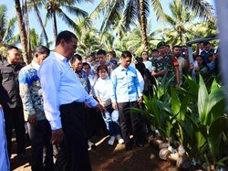 Mentan Sidak di Manado, Temukan Bibit Kelapa Tak Layak-Laporan Tidak Sesuai