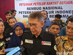 Harga Telur Anjlok, Peternak Singgung Rendahnya Serapan untuk MBG