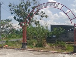 Tak Ada Pohon Pisang di Dukuh Mao Klaten, Kenapa?