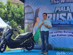 Kicau, Kicau, Kicau Mania! Putaran Duit dari Hobi Burung Segede Ini