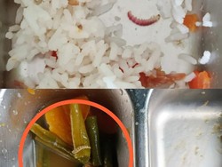 Menu MBG SD Pulau Maya Kayong Utara Dikeluhkan, Ada Nasi dan Sayuran Berulat