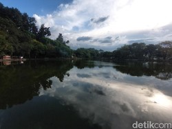 Panorama Situ Pajaten yang Tersembunyi di Ujung Selatan Cirebon