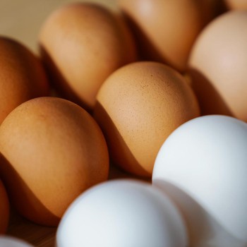 5 Tips Memilih Telur yang Bagus dan Berkualitas