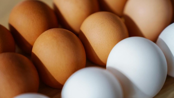 5 Tips Memilih Telur yang Bagus dan Berkualitas