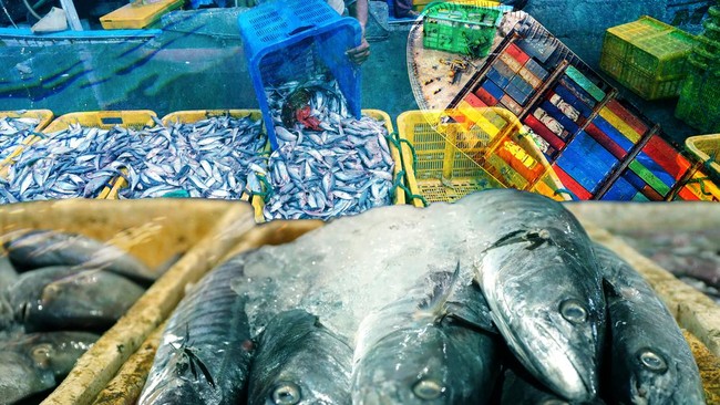 Ekspor Ikan RI Tembus Rp100 Triliun — Udang dan Kepiting Jadi Andalan Baru Devisa