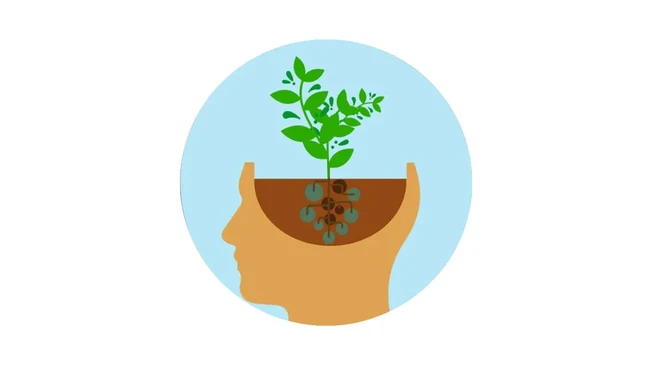 Growth Mindset dalam Keuangan: Pola Pikir yang Mendorong Konsistensi Menabung
