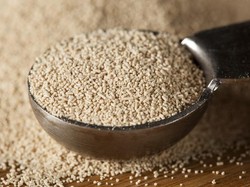 Ini Bedanya Ragi Aktif vs Ragi Instan untuk Pembuatan Roti
