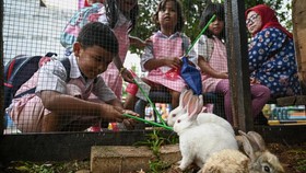 FOTO: Wujudkan Kota Layak Anak, Jakarta Tambah Jumlah RPTRA