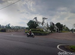 Teror Monyet Ekor Panjang Ukuran Besar Resahkan Warga Mojolangu Malang