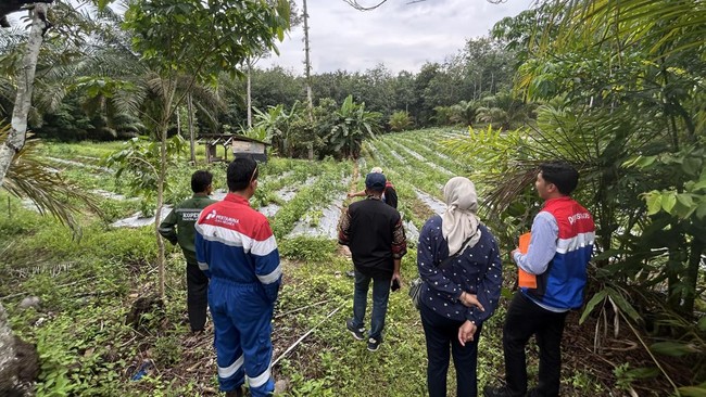 PGN Luncurkan Program Pendekar Dewa untuk Petani Karet Pagardewa
