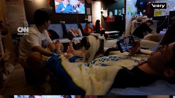 Spa di Hong Kong Ditemani dan 'Dipijat' Kucing-Kucing Menggemaskan