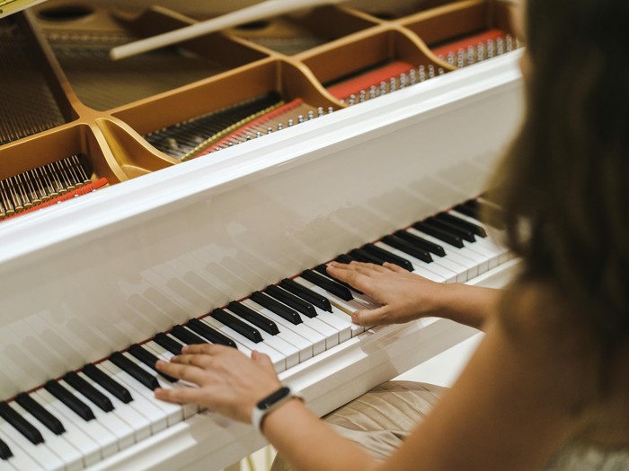 Orang dengan IQ tinggi biasanya memiliki alat musik di rumah mereka. Mendengarkan dan membuat musik berkontribusi pada kecerdasan emosional melalui perilaku seperti refleksi diri, mengatasi stres, terlibat dalam ikatan sosial, membangun komunitas, dan mengatur emosi.