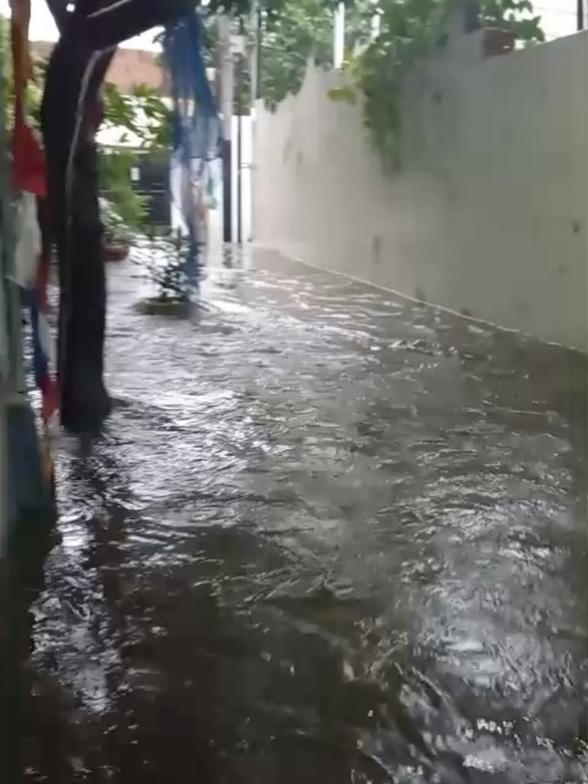 katon bagaskara