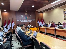 Partisipasi Angkatan Kerja Bali Turun, Ini Penyebabnya