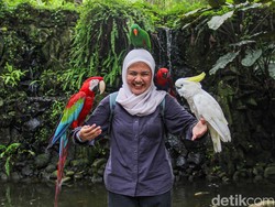 Video: Asyik! Masuk Ancol dan Ragunan Gratis pada 27-28 Juni