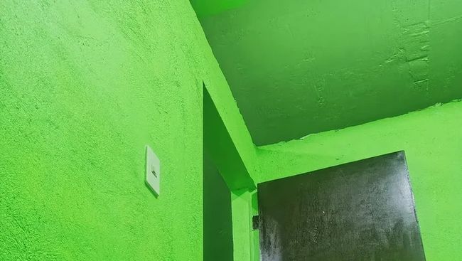 Asal Usul Istilah Hijau Miskin yang Viral di Media Sosial