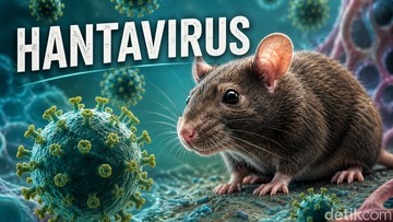 Berita Seputar Selebriti Insertlive Terkini : Hantavirus Serang Kapal Pesiar Mewah, Istri Aktor Ini Sempat Terinfeksi hingga Meninggal