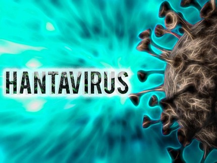 4 Gejala Wabah Hantavirus, Wabah di Kapal Pesiar Mewah