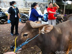 Tak Boleh Sembarangan, Ini Aturan Pembagian Daging Kurban dalam Islam