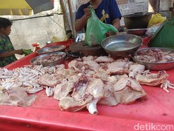 Harga Ayam di Medan Mulai Naik, Tembus Rp 34 Ribu/Kg