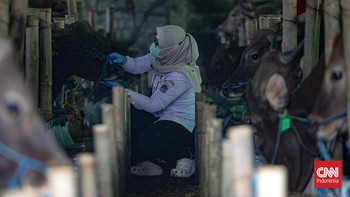FOTO: Petugas Cek Kesehatan Hewan Kurban di Jakarta