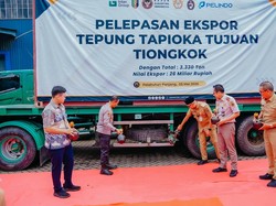 Lampung Ekspor 3.330 Ton Tapioka ke China, Pemprov Genjot Hilirisasi Singkong