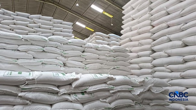 Stok Cadangan Beras Pemerintah Pecah Rekor Lagi, Tembus 5,37 Juta Ton