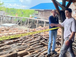 Perusakan Mangrove di Meranti, Pemilik Dapur Arang-Nakhoda Kapal Ditangkap