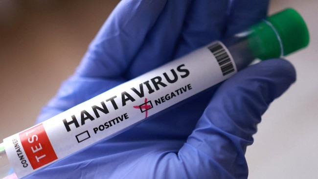 Viral Hantavirus Disebut Efek Samping Vaksin Covid, Benarkah?