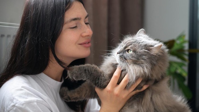 Sudah Tahu? Ini Sederet Manfaat Memelihara Kucing untuk Kesehatan