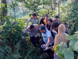 XL7 Terjun ke Jurang 15 Meter di Jalur Gumitir Jember