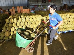 Durian di China Cuma Rp 90 Ribu! Pasokan Melimpah Bikin Harga Anjlok