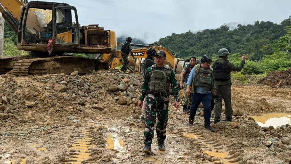 Pemerintah Cabut Izin Tambang Emas PT Kristalin Ekalestari di Papua