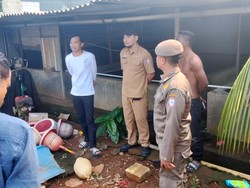 Kandang Babi di Gudang Farmasi Makassar Diubah Jadi Kolam Ikan Usai Disorot