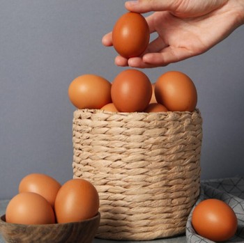 Telur Disimpan di Kulkas atau Suhu Ruang, Mana yang Lebih Tahan Lama?