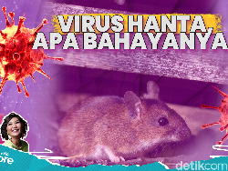 Bentengi Indonesia dari Virus Hanta