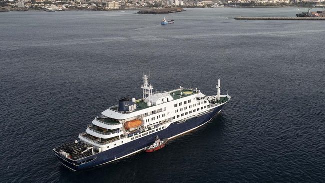 Kemenkes menegaskan, jenis Hantavirus yang ditemukan mewabah di kapal pesir MV Hondius berbeda dengan yang pernah ada di Indonesia. Apa bedanya?