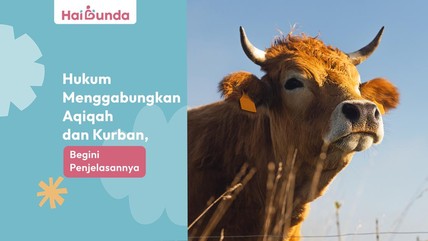 Detik Network