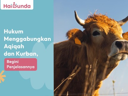 Hukum Menggabungkan Aqiqah dan Kurban, Begini Penjelasannya