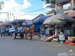 Kotoran Kuda Berceceran di Mataram, Pemkot Siapkan Kantong Rp 30 Juta