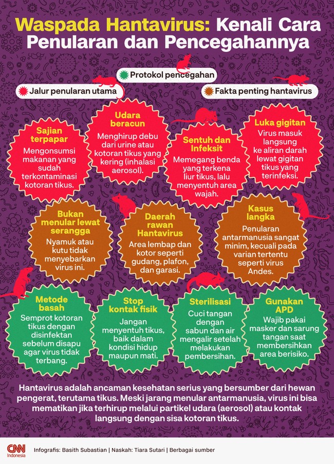 INFOGRAFIS: Waspada Hantavirus Kenali Cara Penularan dan Pencegahannya