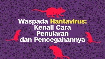 INFOGRAFIS: Waspada Hantavirus Kenali Cara Penularan dan Pencegahannya