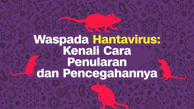 Waspada, hantavirus tengah menyerang di beberapa negara. Penyakit yang berasal dari tikus.