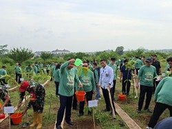 Ara Mau Wajibkan Setiap Rumah Punya Pohon, Begini Aturannya