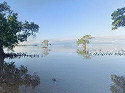 Asal-usul Tanjung Menangis di Sumbawa, Legenda Tragis Putri Kerajaan