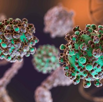 Mengenal Hantavirus: Penyebab, Gejala, dan Cara Penanganannya
